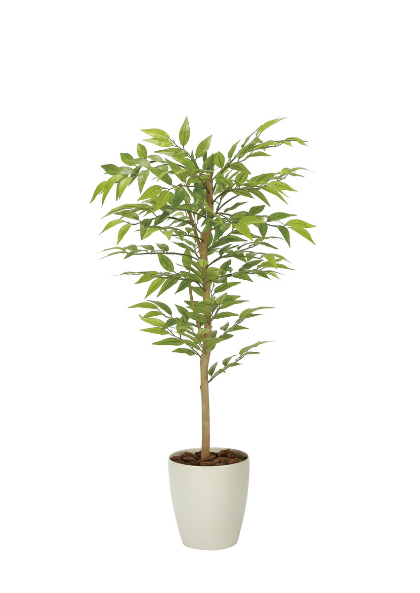 楽天市場】光触媒 光の楽園 サラサドウダン1.6 インテリア フェイク