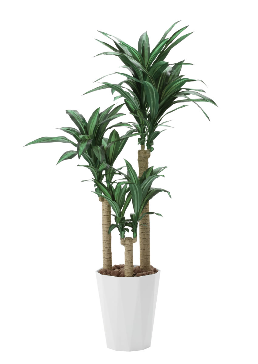 光触媒 人工観葉植物 フェイクグリーン フレッシュドラセナW1.8m-