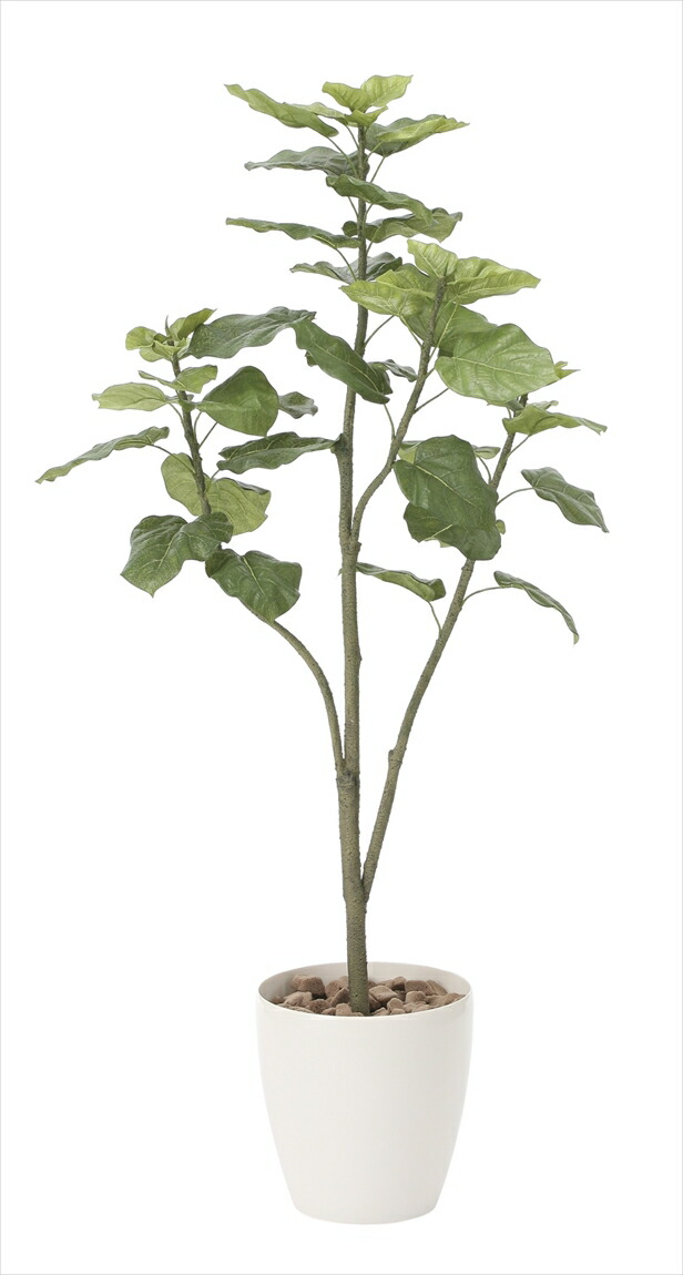 フェイクグリーン 花と観葉植物の専門店 ウンベラータツリー1 5mインテリア 光触媒 人工観葉植物光の楽園 新築祝い 開店祝い 誕生日祝い 開業祝いなどのギフトに 玄関やリビングのインテリアにお手入れいらずの光の楽園 ウンベラータツリー1 5mインテリア 光の楽園 造花 フェイクグリーン 花と観葉植物の専門店 ウンベラータツリー1 5mインテリア 光触媒 人工観葉植物光の楽園 新築祝い 開店祝い 誕生日祝い 開業祝いなどのギフトに 玄関やリビングのインテリアにお手入れいらずの光の楽園 ウンベラータツリー1 5mインテリア 光の楽園 造花