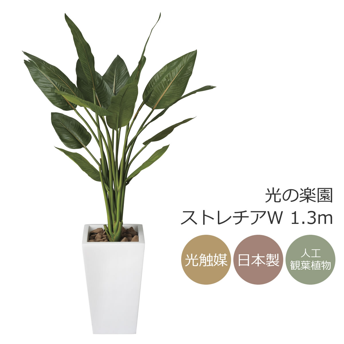 光触媒　人工観葉植物　フェイクグリーン　ウッドボックストネリコミックス1.8m 楽天市場】光触媒 光の楽園 ウッドボックストネリコミックス1.8