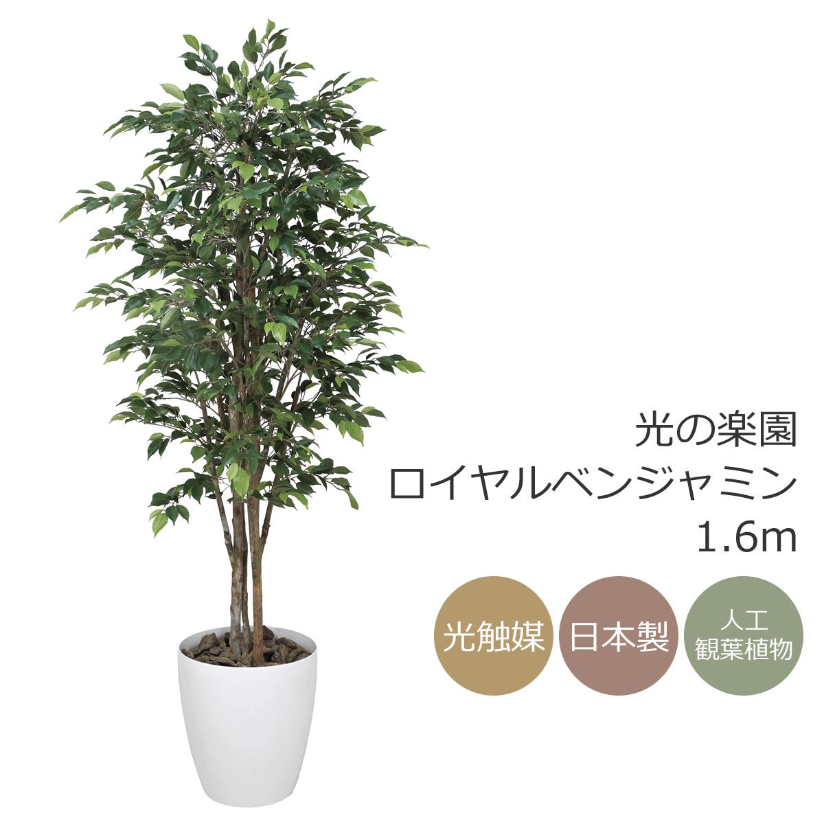 楽天市場】光触媒 光の楽園 フィカスツリー1.65 インテリア フェイク