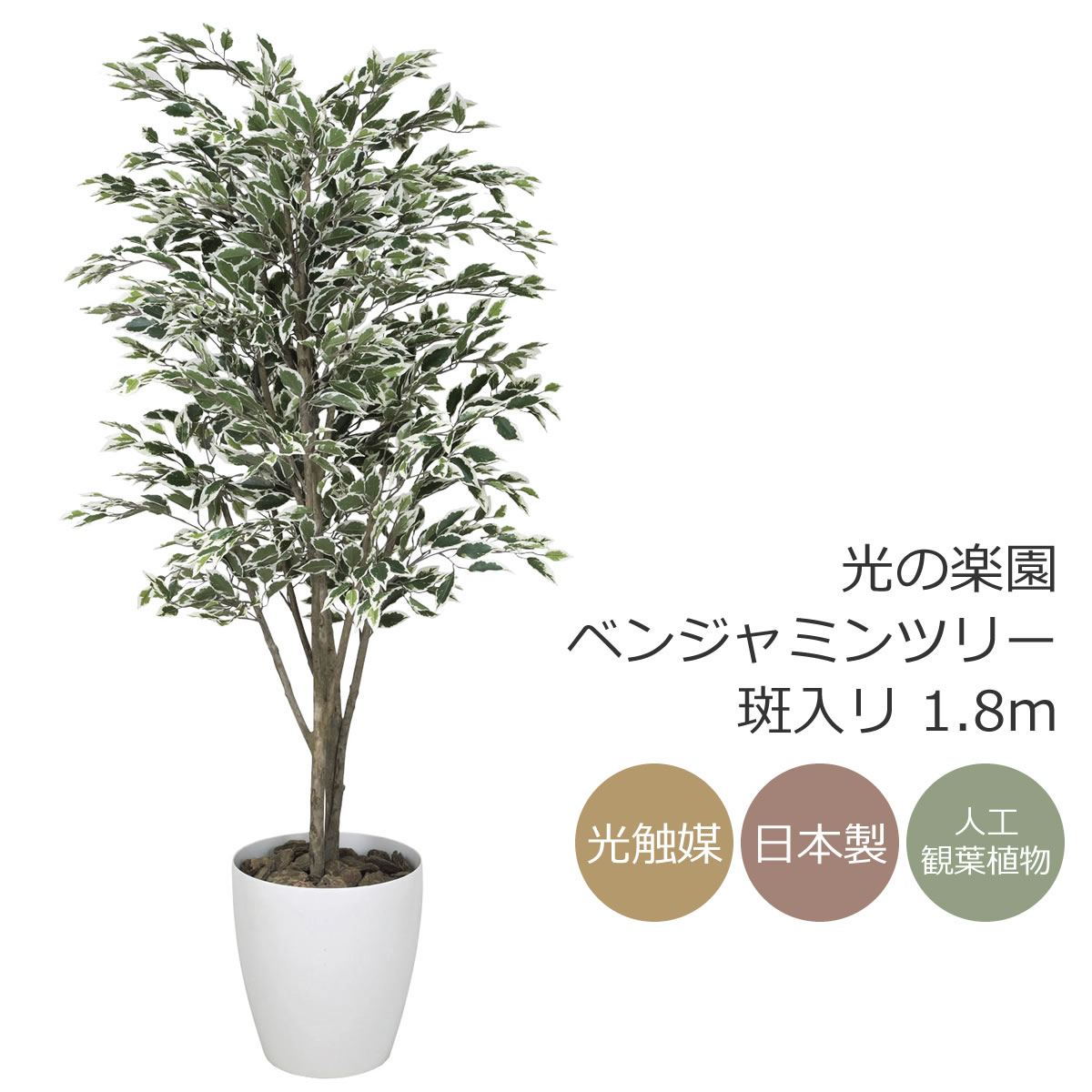 光触媒 光の楽園 ベンジャミンツリー斑入リ 1.8m フェイクグリーン 大型 人工観葉植物(154K520)（※ラッピング不可）｜花と観葉植物の専門店 光の楽園