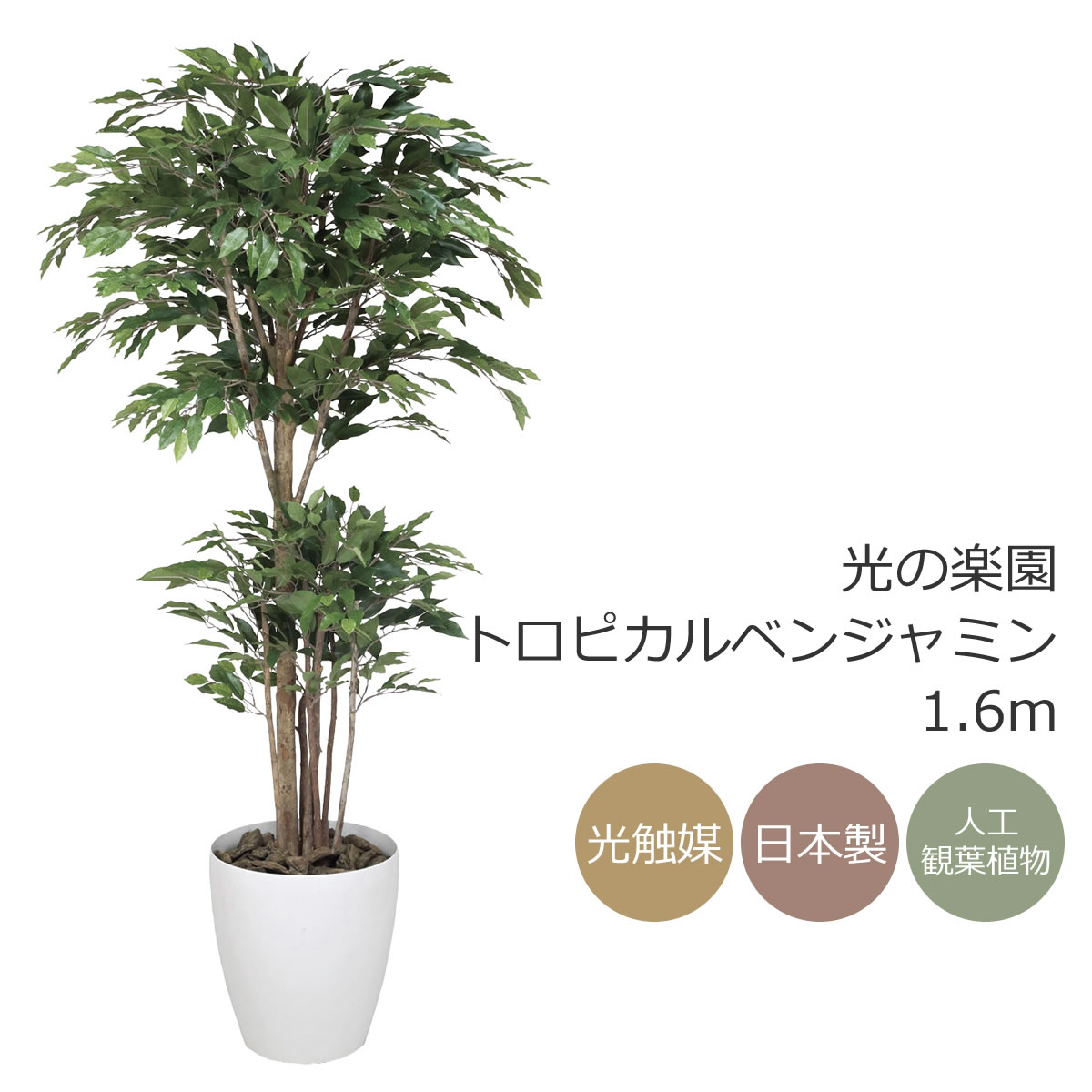 楽天市場】光触媒 人工観葉植物光の楽園 アルデシア(万両) 高さ 楽天市場】光触媒 人工観葉植物光の楽園 アルデシア(万両) 高さ