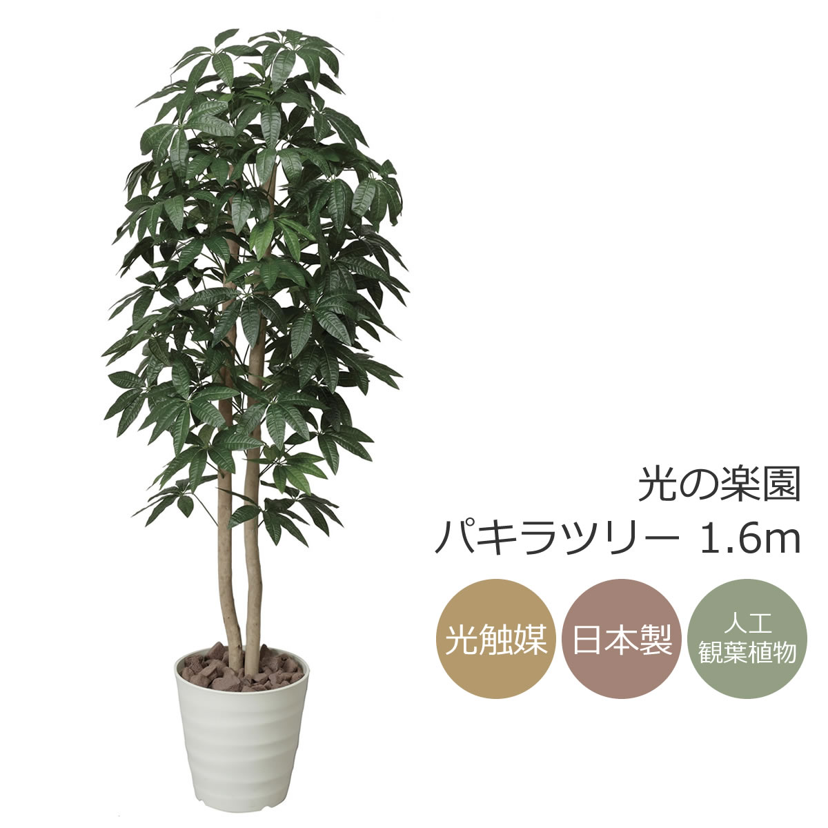 楽天市場】光触媒 観葉植物 光の楽園トラベラーズパーム 高さ1.1