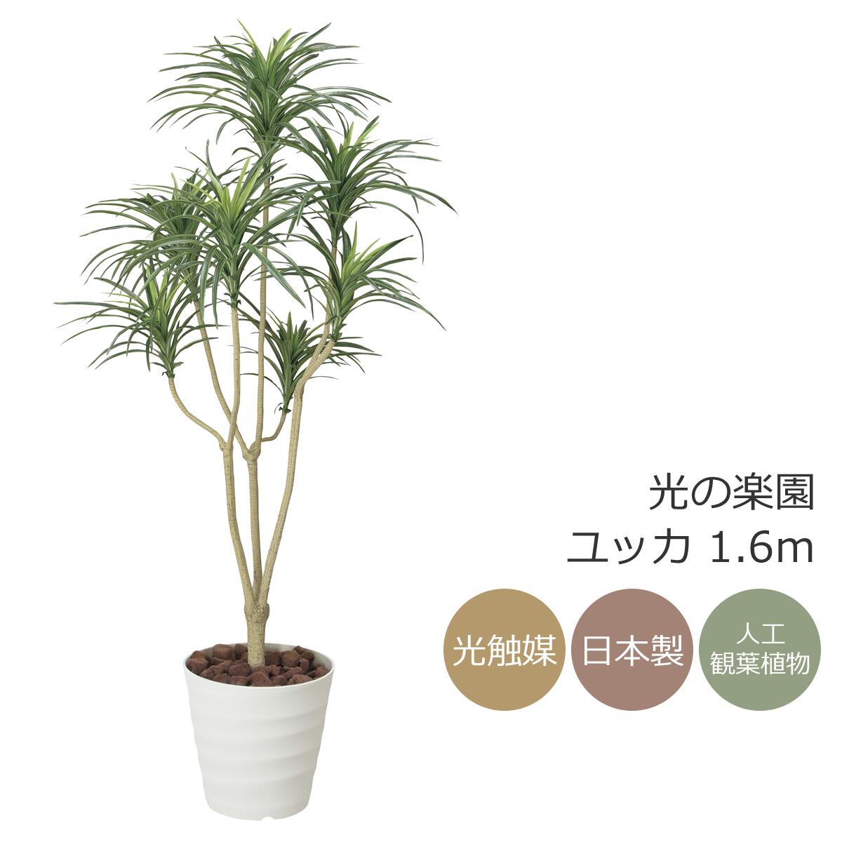 楽天市場】光触媒 光の楽園 クロモジ1.6 インテリア フェイク