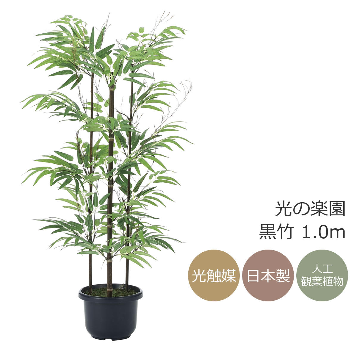 楽天市場】光触媒 人工観葉植物光の楽園 黒竹 1.8m 幹：天然竹