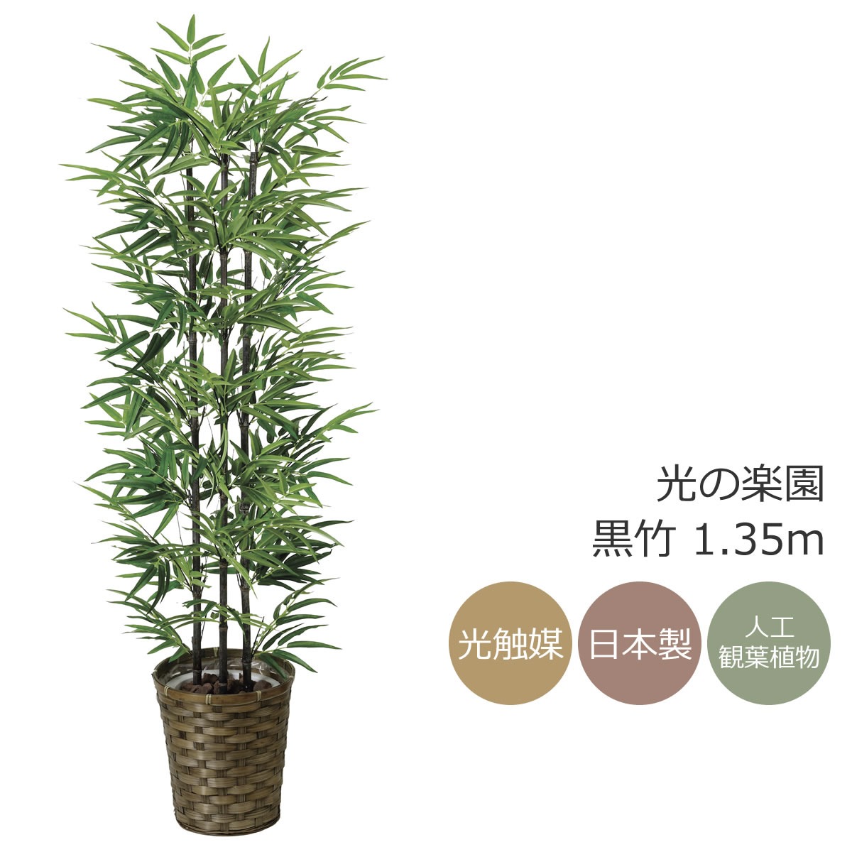 楽天市場】光触媒 光の楽園 モンステラ 高さ1.5m【フェイク