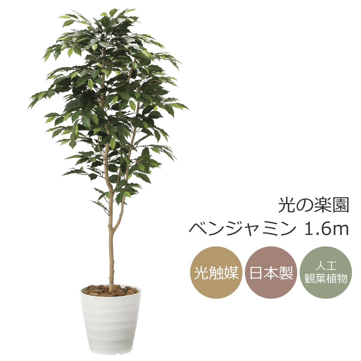 光触媒　人工観葉植物　ウォールグリーン　フェイクグリーン　フレッシュアセビ1.5 楽天市場】光触媒 光の楽園 インテリアフレッシュアセビ1.7m