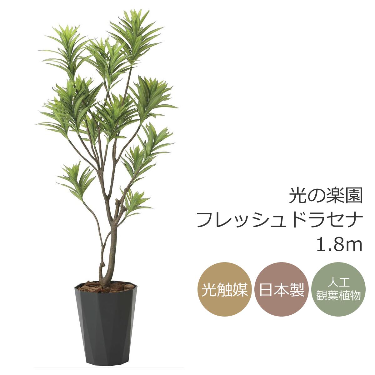 差し上げ物の選び方について