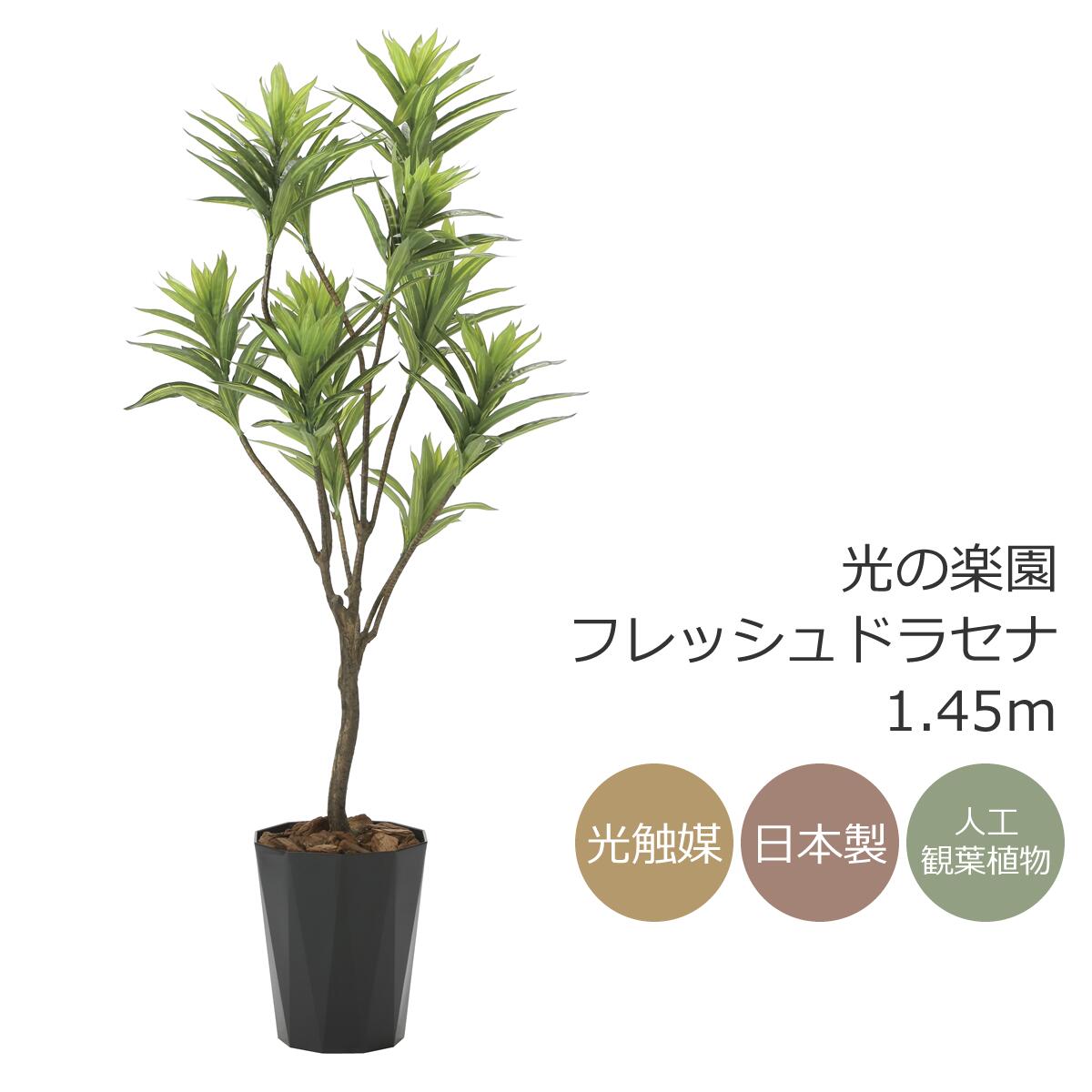 差し上げ物の選び方について