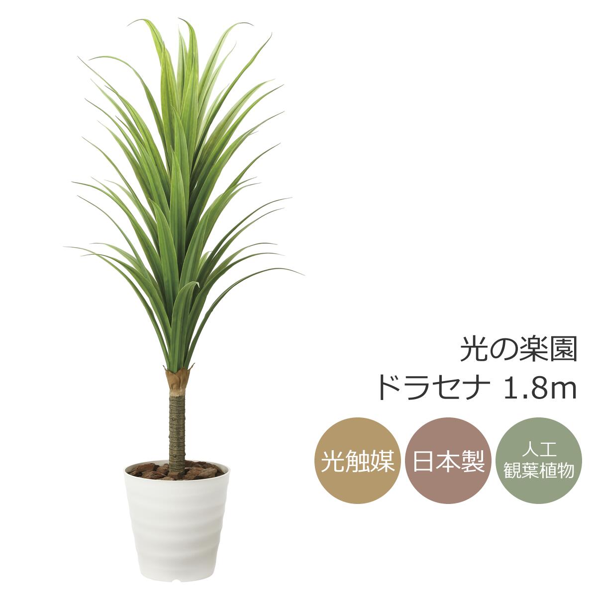 楽天市場】斑入りドラセナ 造花観葉植物 高さ約90cm幅約40cm 楽天市場】斑入りドラセナ 造花観葉植物 高さ約90cm幅約40cm