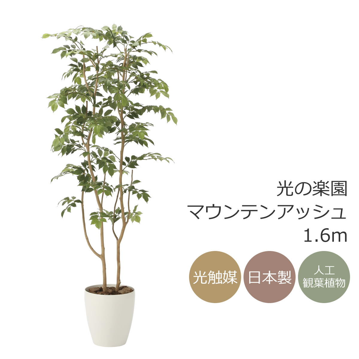 楽天市場】光触媒 人工観葉植物光の楽園 アルデシア(万両) 高さ 1.3m