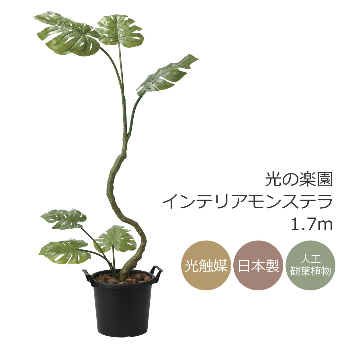 楽天市場】光触媒 フェイクグリーン 光の楽園 モンステラ 1.0m