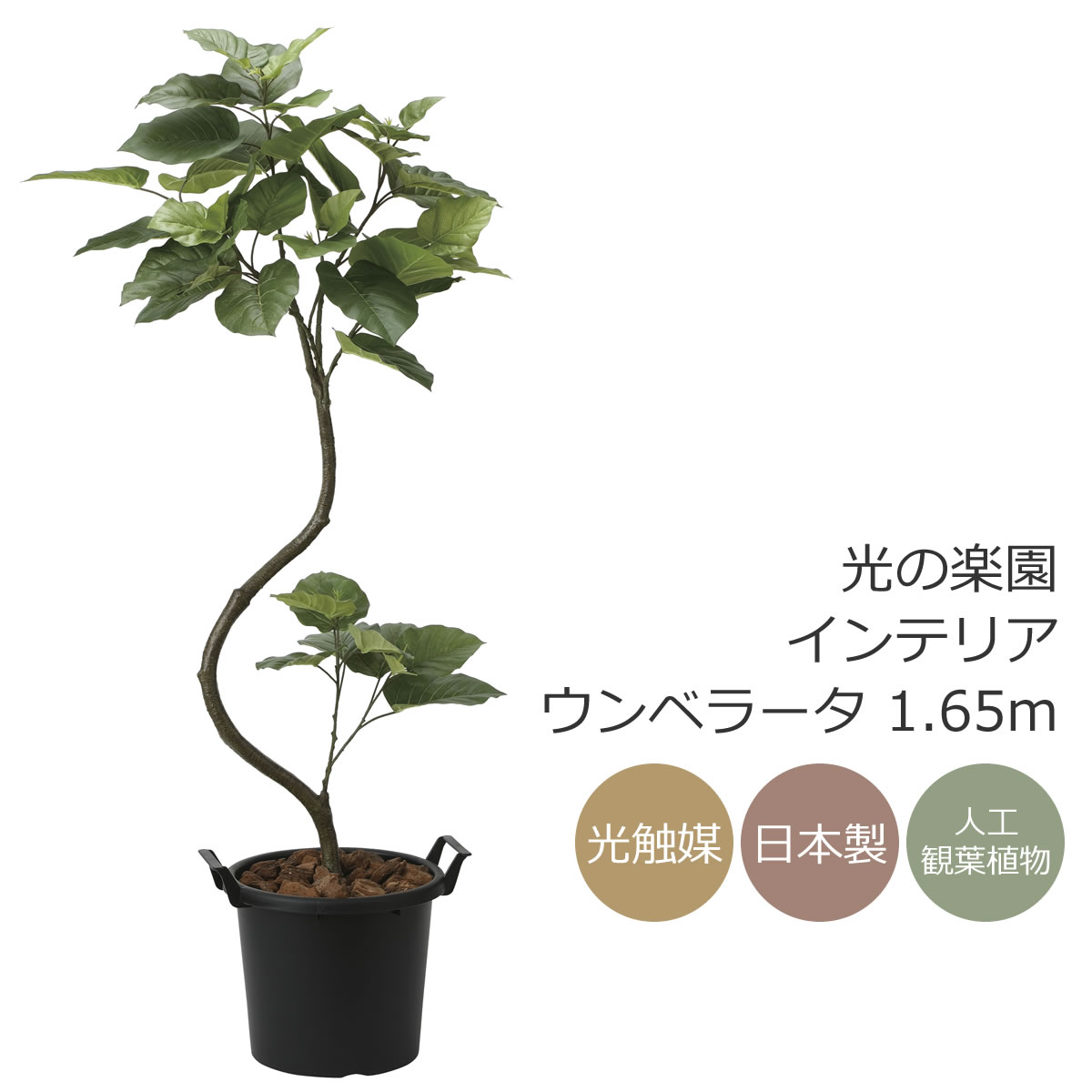 楽天市場】光触媒 光の楽園 モンステラ 高さ1.5m【フェイクグリーン