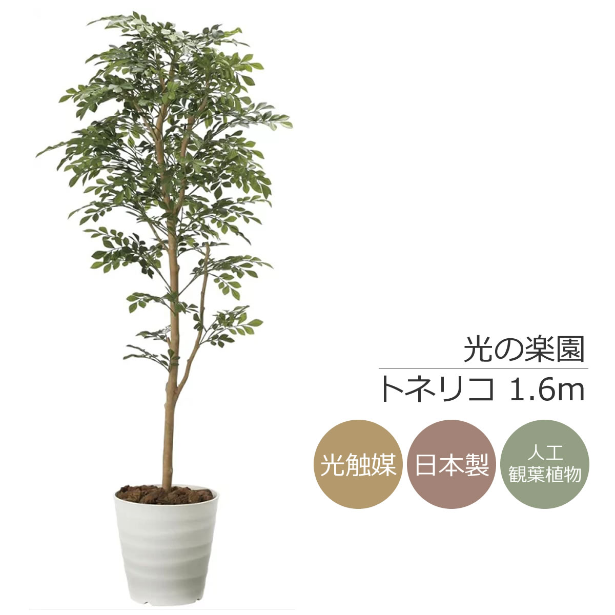 【楽天市場】光触媒 人工観葉植物光の楽園 トネリコ 高さ 1.8mインテリア フェイクグリーン 大型 : 花と観葉植物の専門店 光の楽園