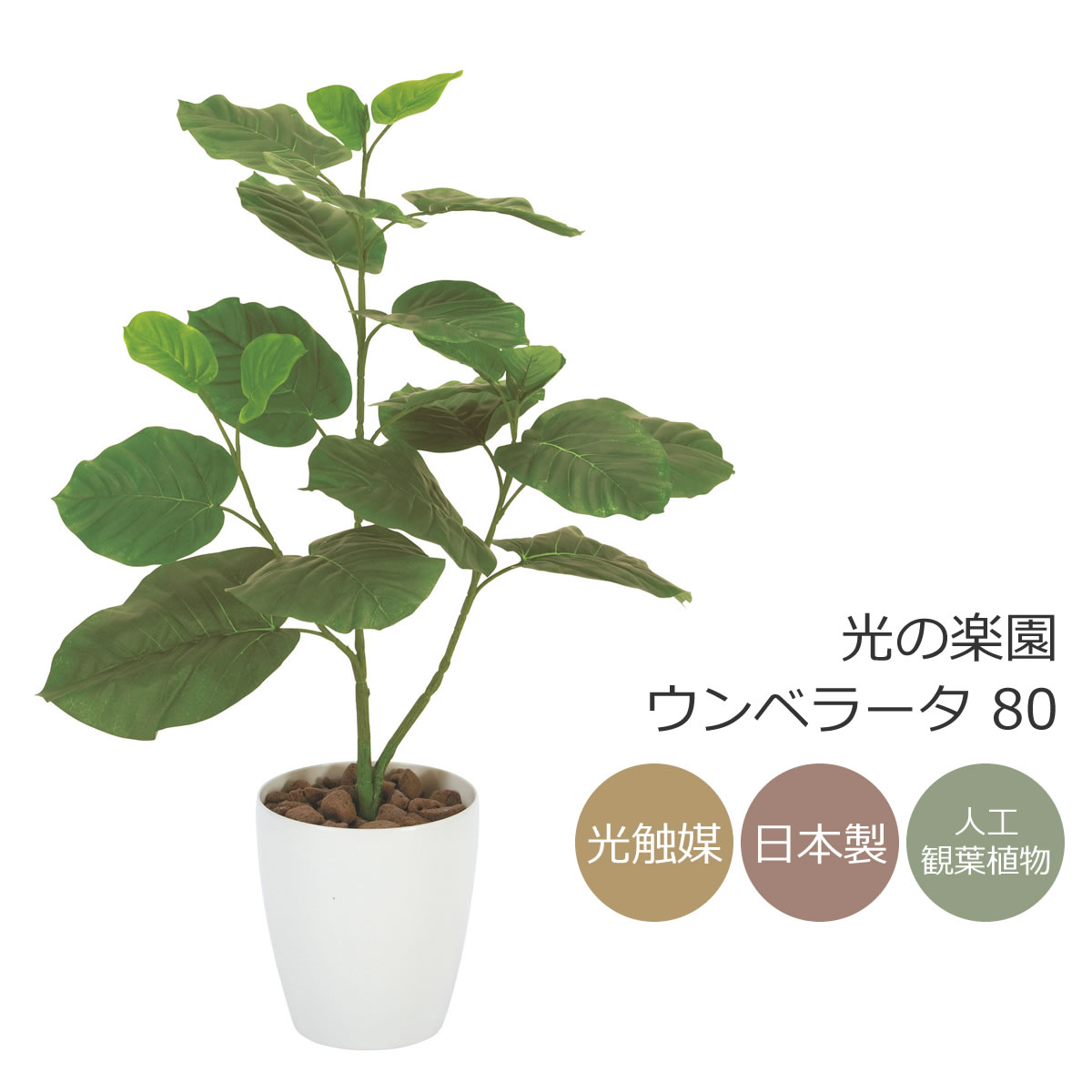 楽天市場】光触媒 光の楽園 フレッシュパキラ95【インテリア フェイク