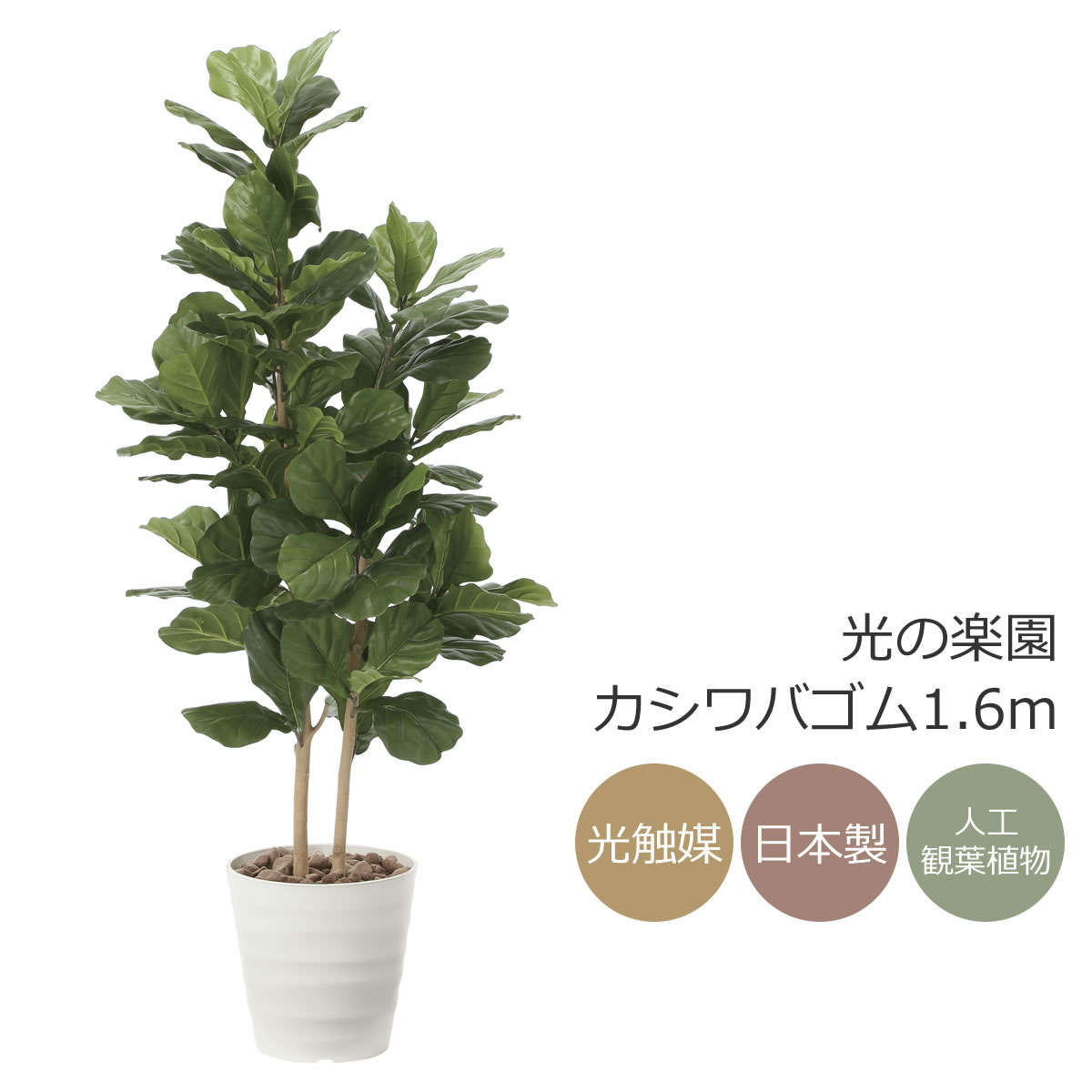 楽天市場】光触媒 光の楽園 クロモジ1.2m フェイクグリーン 人工観葉