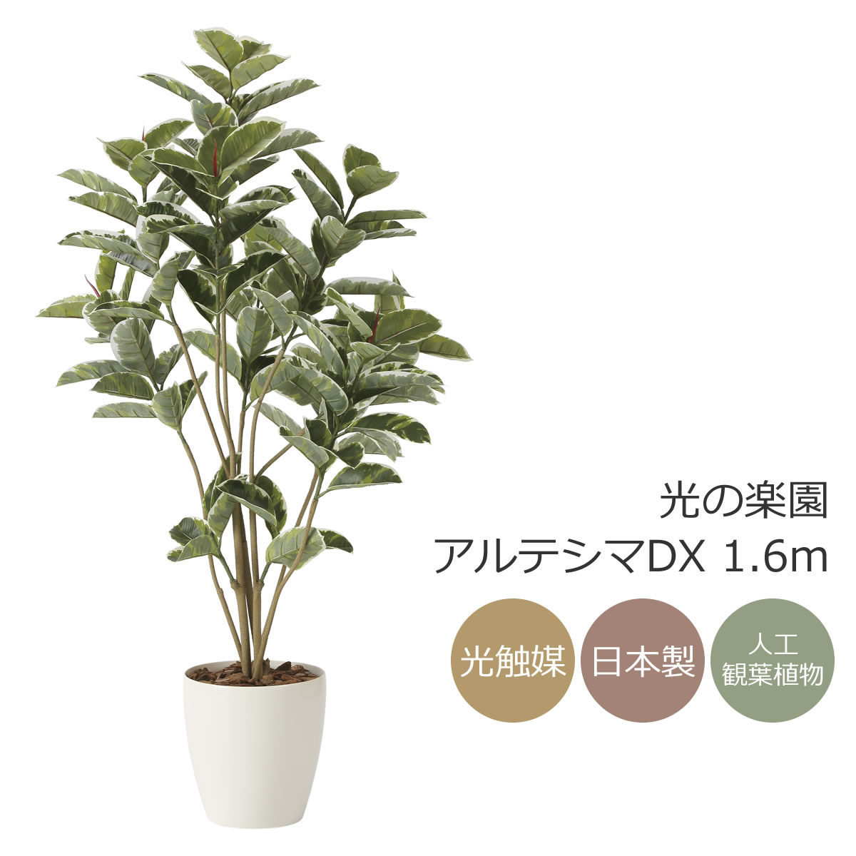 光触媒　人工観葉植物　フェイクグリーン　ベンジャミンダブル高さ1.6 光触媒 光の楽園ベンジャミンダブルフェイス（植栽付） 高さ 1.8m