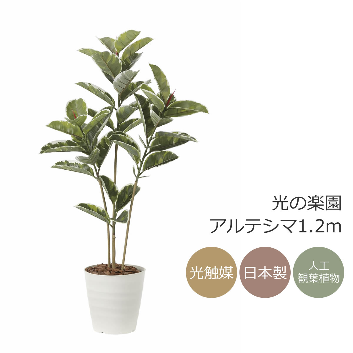 楽天市場】光触媒 光の楽園 インテリアフレッシュアセビ1.7m