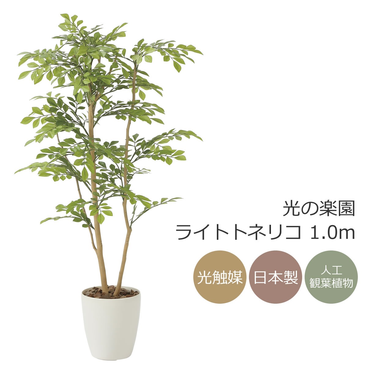 楽天市場】光触媒 光の楽園 トネリコ 1.2m【インテリア フェイク