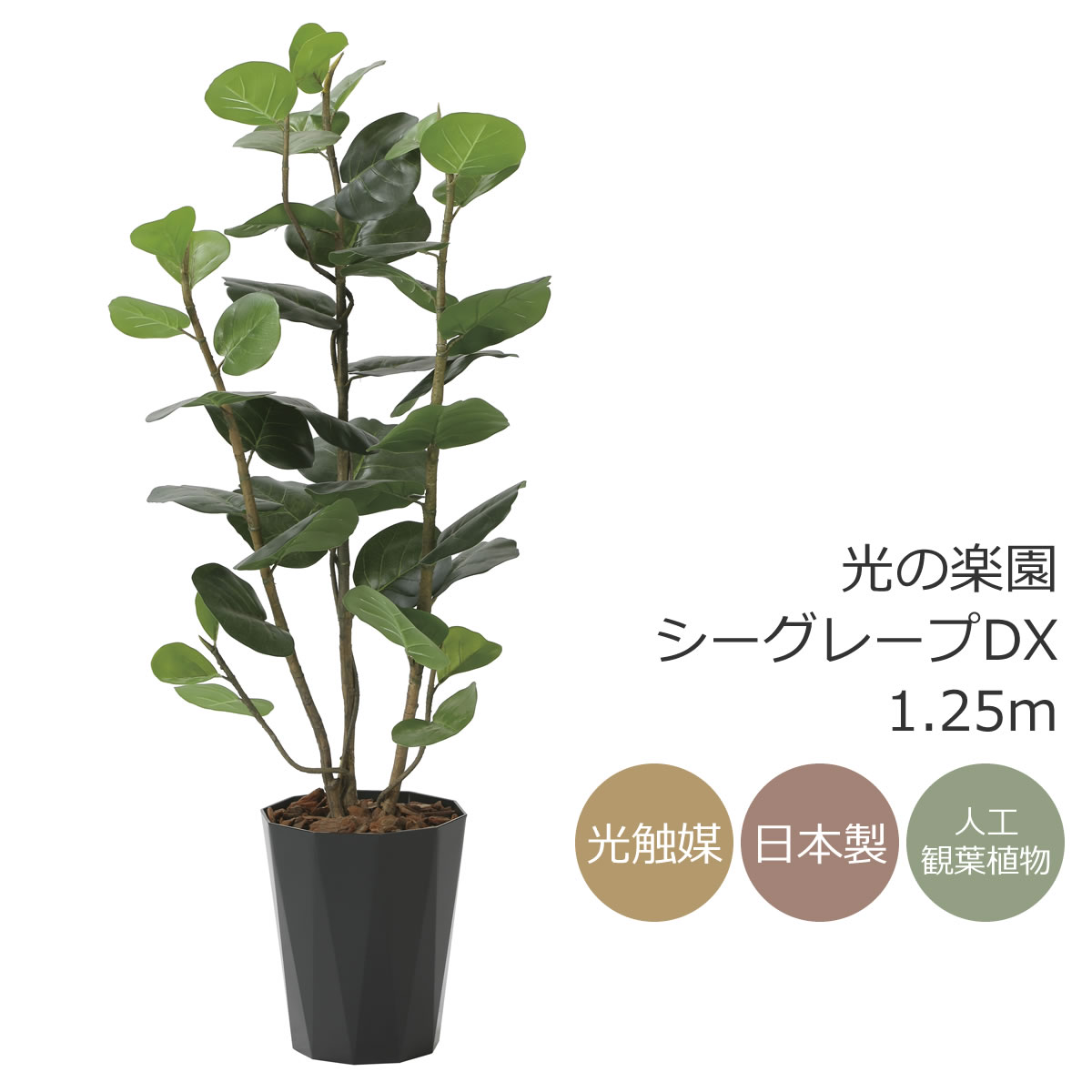 光触媒　人工観葉植物　ウォールグリーン　ハックルベリー1.25m 楽天市場】光触媒 光の楽園 ハックルベリー 高さ1.25m フェイク