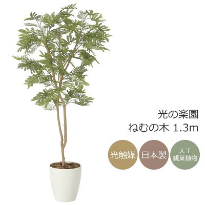 光触媒 光の楽園 ねむの木 1.3m（ポリ製） フェイクグリーン 人工観葉植物(2259A200)｜花と観葉植物の専門店 光の楽園