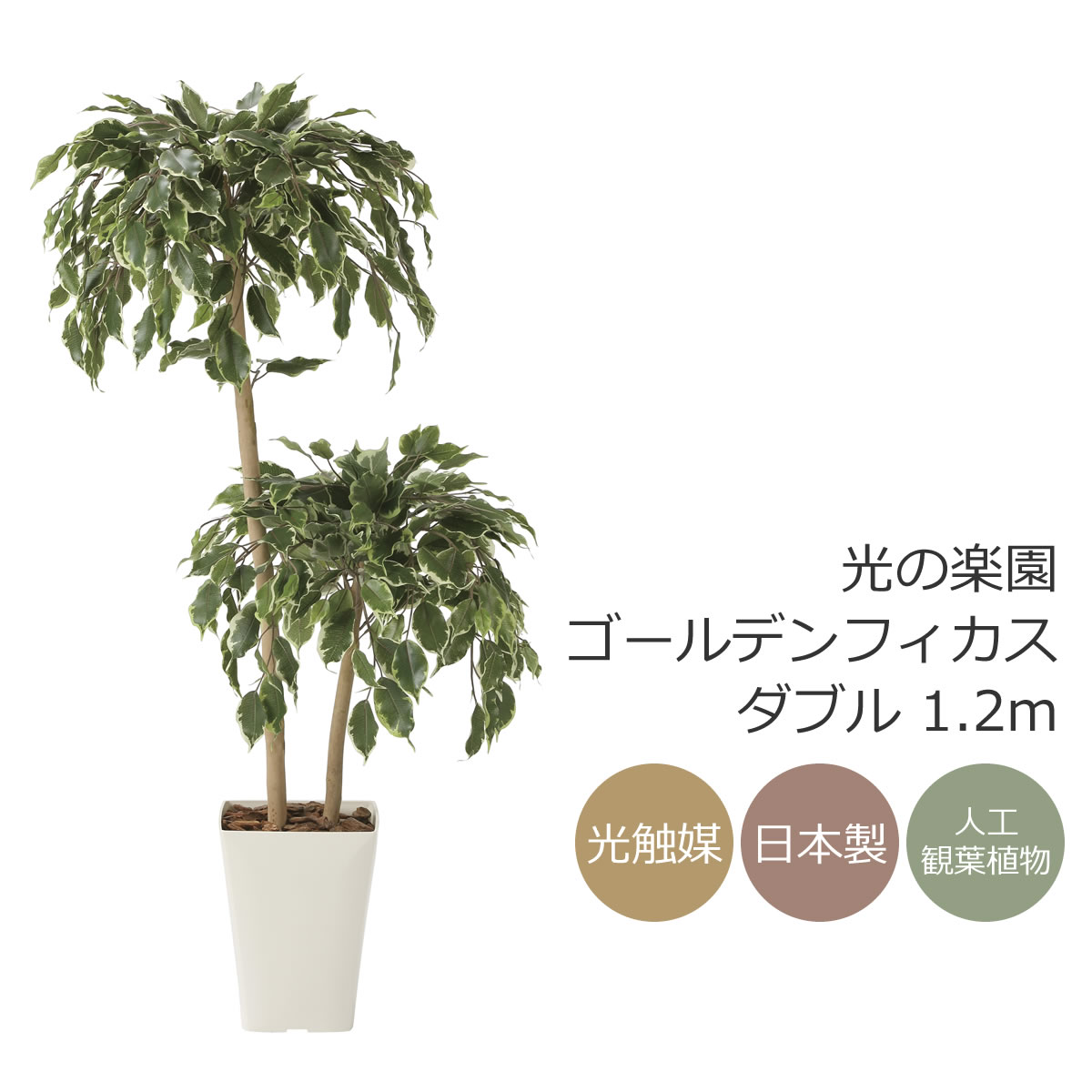 光触媒　人工観葉植物　ウォールグリーン　フェイクグリーン　デラックスアルデシア 光触媒 人工観葉植物 ウォールグリーン フェイクグリーン 壁掛け