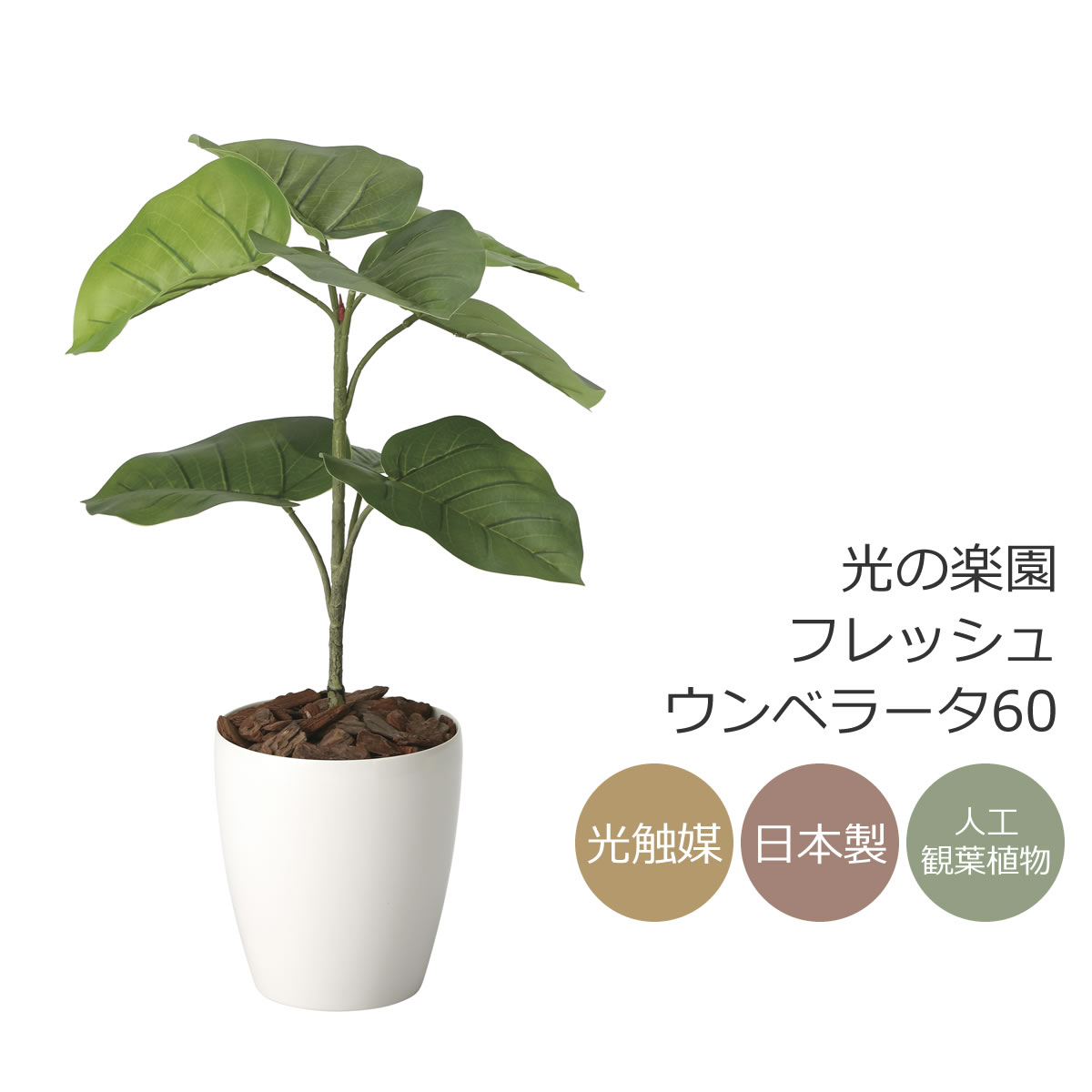 差し上げ物の選び方について