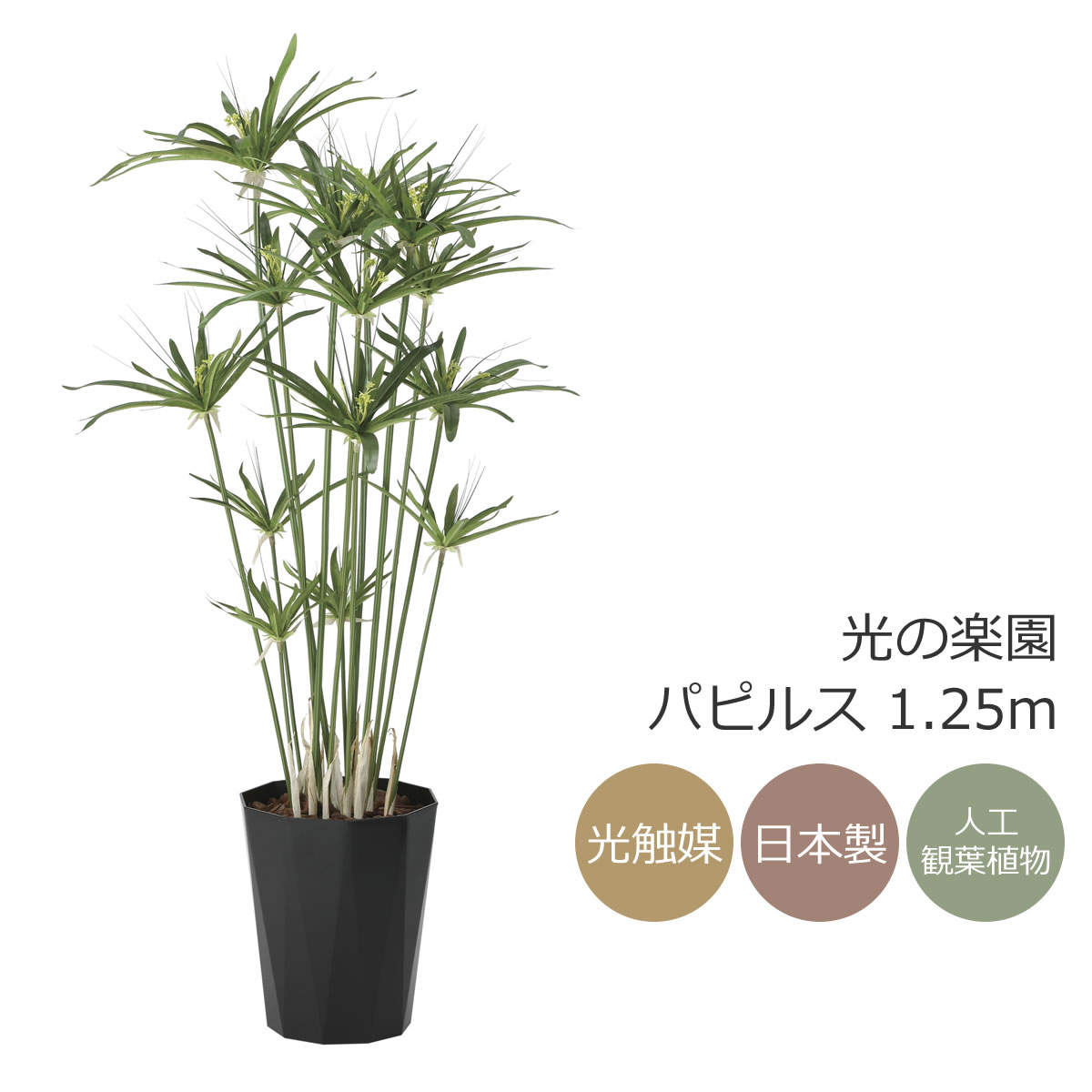 光触媒　人工観葉植物　フェイクグリーン　アムステルラバーキング1.8 楽天市場】光触媒 光の楽園 アムステルラバーキング1.6 インテリア