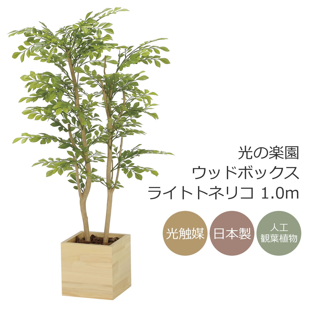 楽天市場】光触媒 光の楽園 ハックルベリー 高さ1.25m フェイク