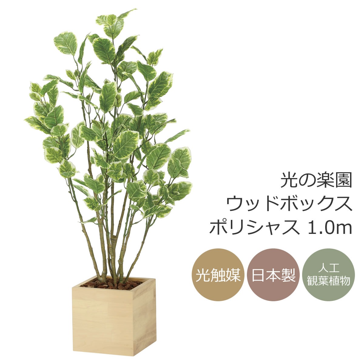 楽天市場】光触媒 光の楽園 ウッドボックスパキラ1.6m フェイク