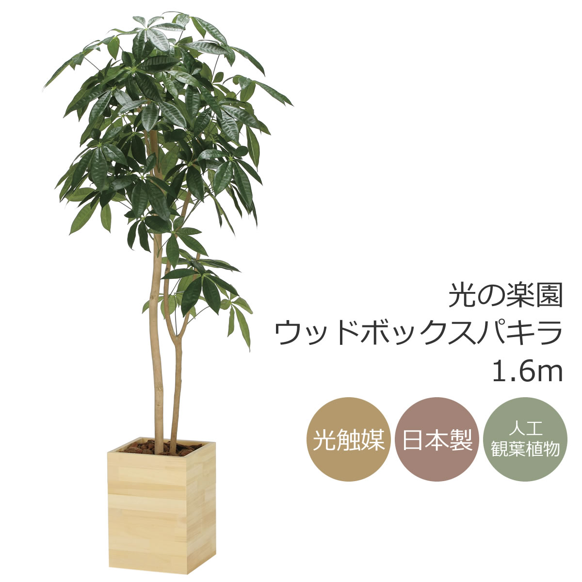 光触媒 光の楽園 ウッドボックスパキラ1.6m フェイクグリーン 大型 人工観葉植物(2309R450)（※ラッピング不可）｜花と観葉植物の専門店 光の楽園