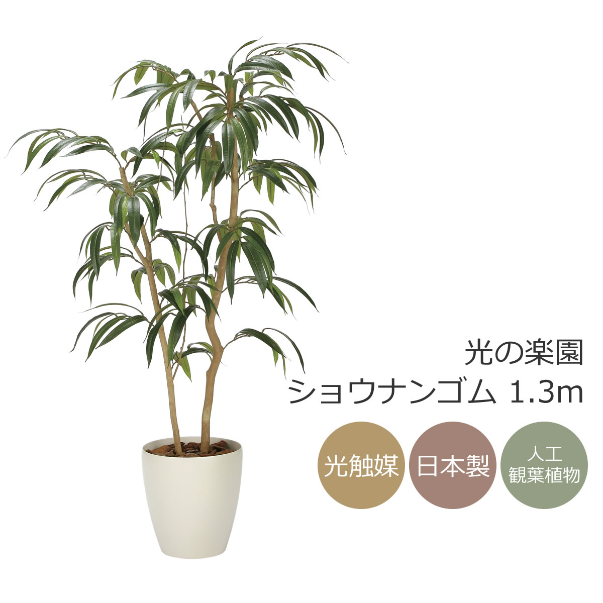 楽天市場】光触媒 光の楽園 ナチュラルライトトネリコ 1.1m フェイク