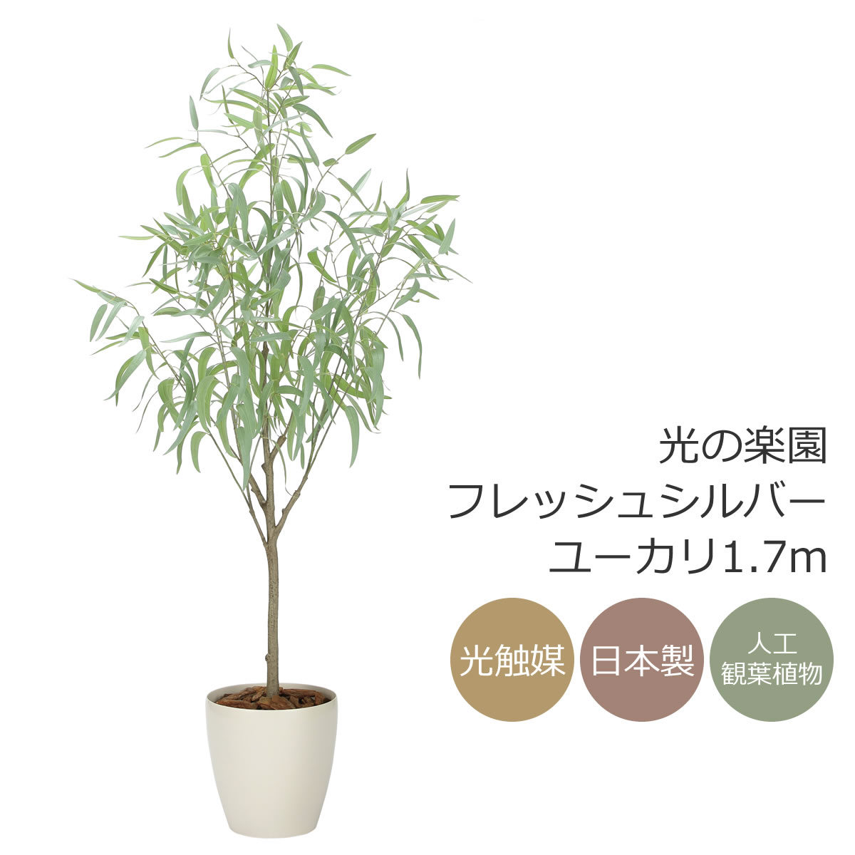 光触媒 光の楽園 フレッシュシルバーユーカリ1.7m フェイクグリーン 大型 人工観葉植物(2330A500)(※ラッピング不可)|花と観葉植物の専門店 光の楽園