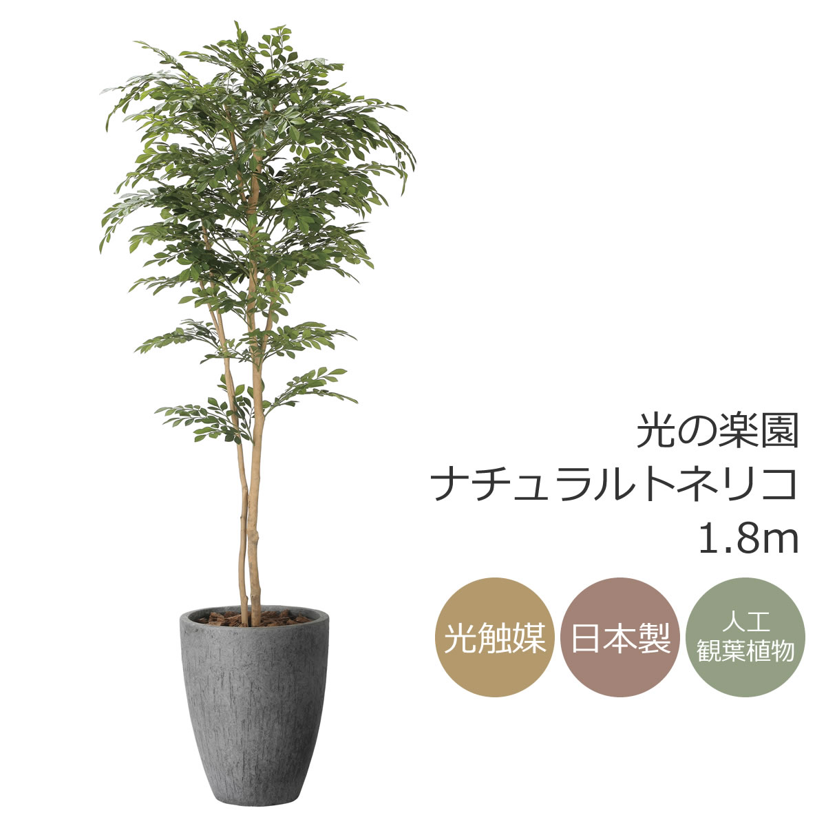 光触媒 光の楽園 ウッドボックスライトトネリコ1.0m 光の園(2025年版 