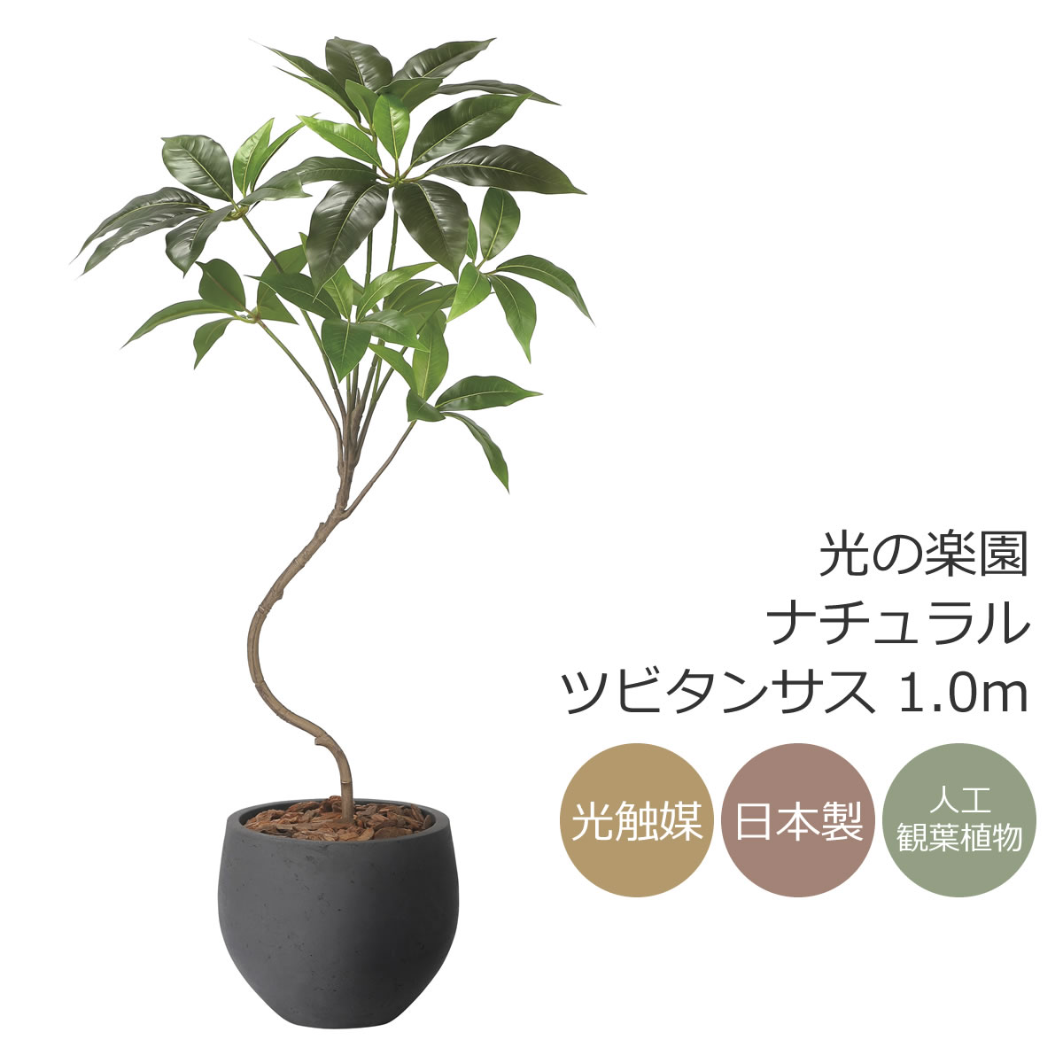 楽天市場】光触媒 光の楽園 ナチュラルサラサドウダン 90 フェイク