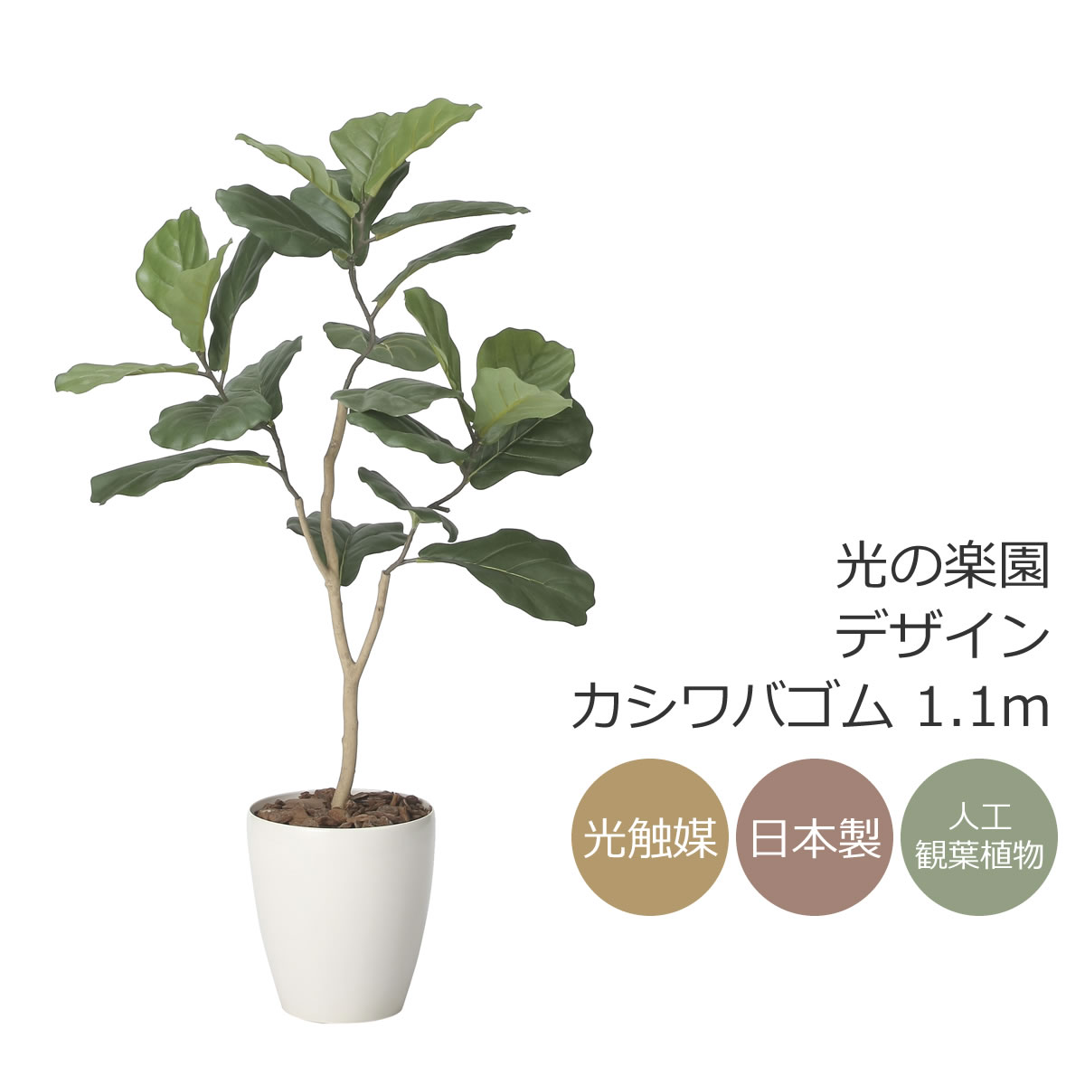 楽天市場】光触媒 光の楽園 クロモジ1.6 インテリア フェイクグリーン