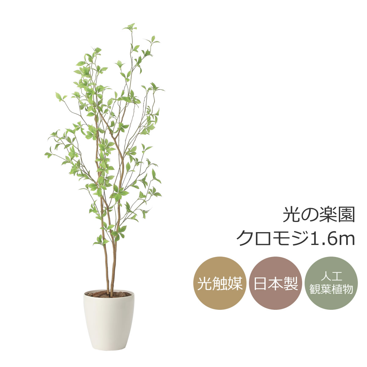 楽天市場】光触媒 光の楽園 インテリアフレッシュアセビ1.7m