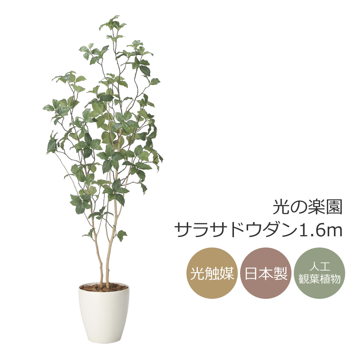 楽天市場】光触媒 光の楽園 クロモジ1.6 インテリア フェイク