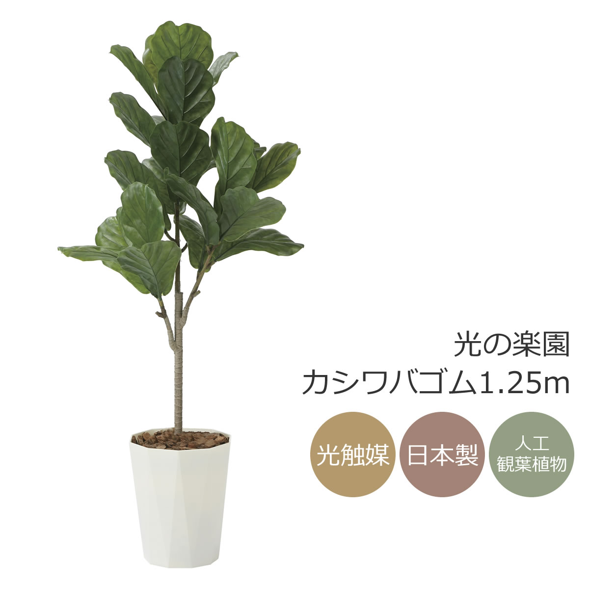 光触媒　人工観葉植物　ウォールグリーン　フェイクグリーン　クロモジ1.6 楽天市場】光触媒 光の楽園 クロモジ1.6 インテリア フェイクグリーン