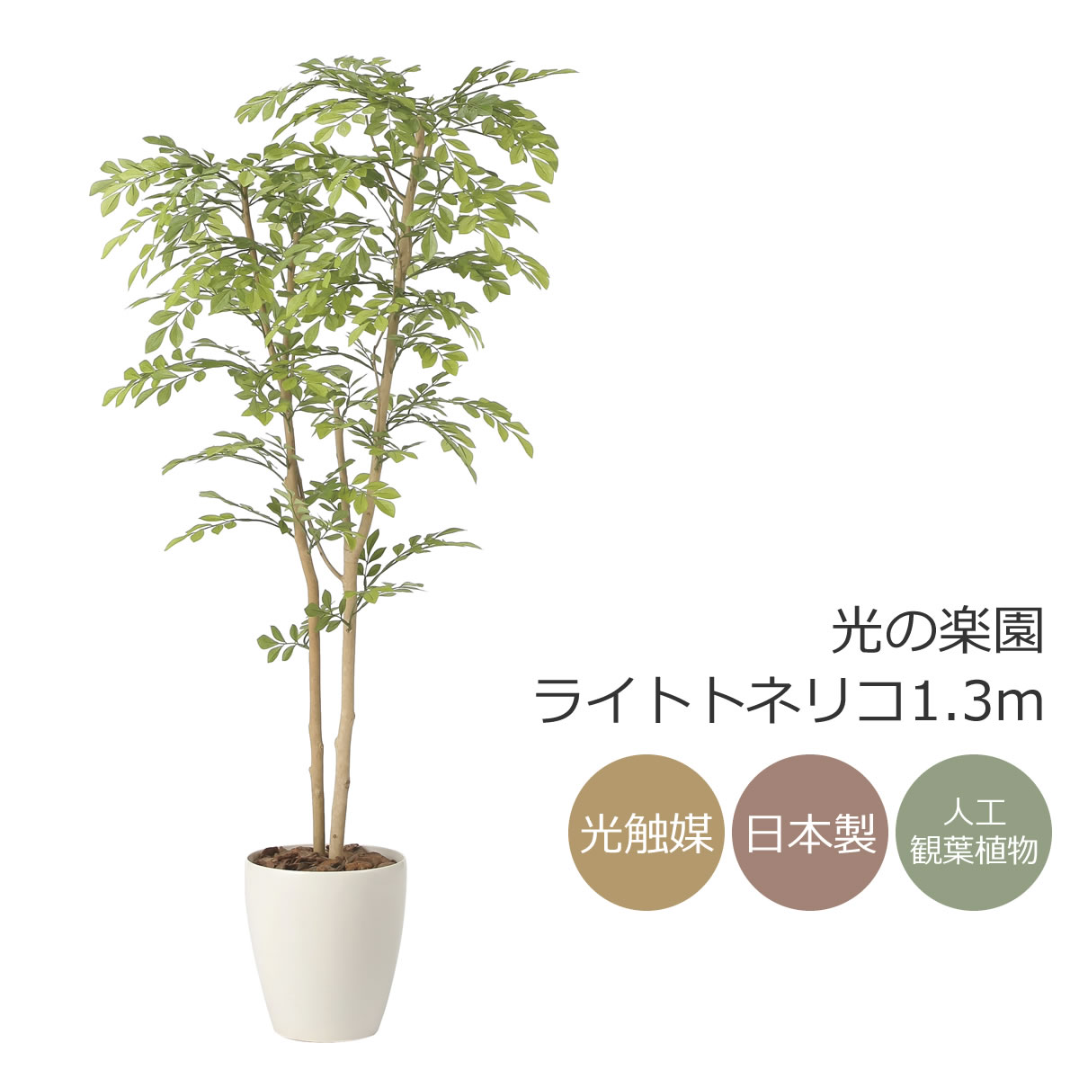 光触媒　人工観葉植物　人工観葉植物　フェイクグリーン　トネリコ1.8m 2430a240_main.jpg