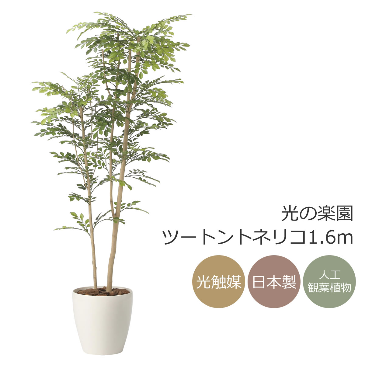 光触媒　人工観葉植物　人工観葉植物　フェイクグリーン　トネリコ1.8m 楽天市場】光触媒 光の楽園 トネリコ1.8m インテリア フェイクグリーン
