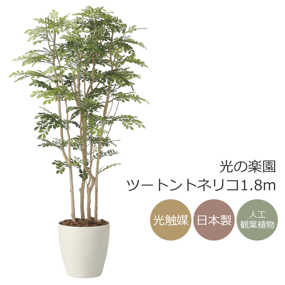 光触媒　人工観葉植物　ウォールグリーン　フェイクグリーン アルデシア130 2282a200_main.jpg