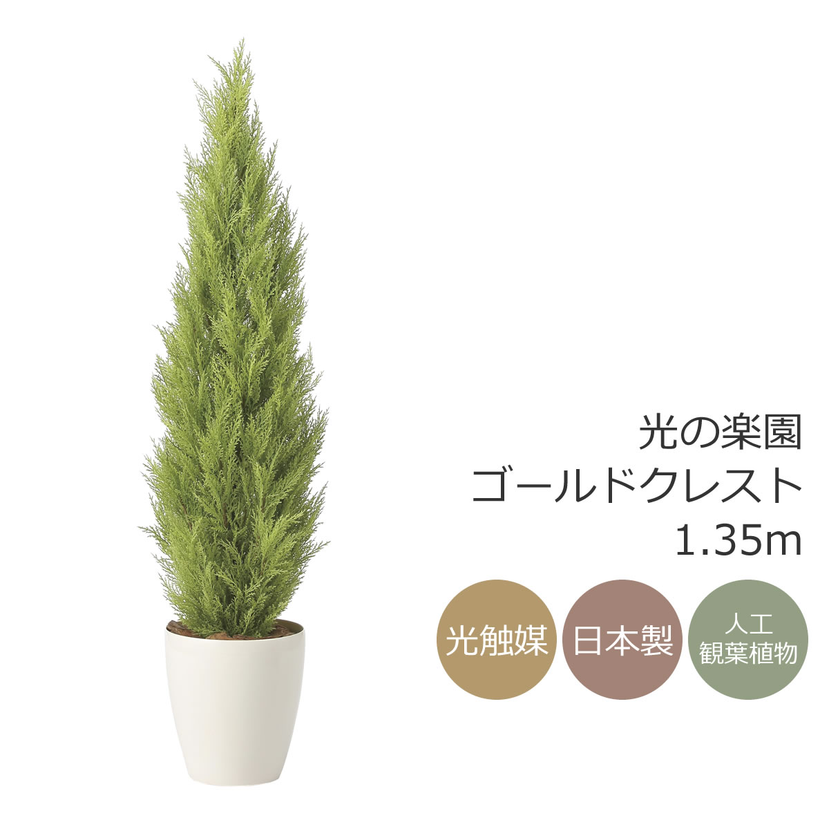 光触媒　人工観葉植物　フェイクグリーン　ゴールドクレスト1.35 楽天市場】光触媒 光の楽園 ゴールドクレスト1.35(ポリ製)【インテリア