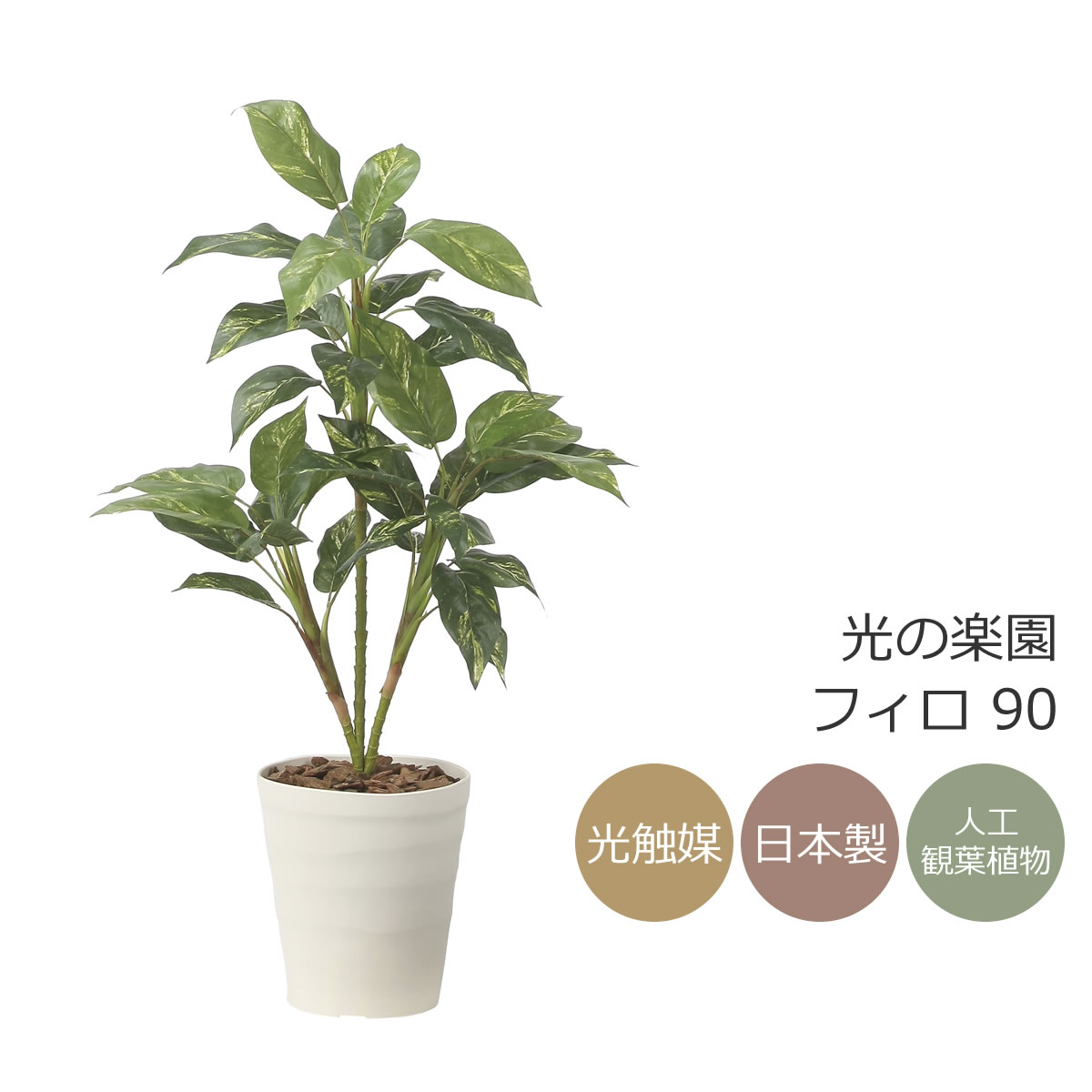 楽天市場】人工観葉植物 エバーフレッシュ 127cm アカサヤネムノキ