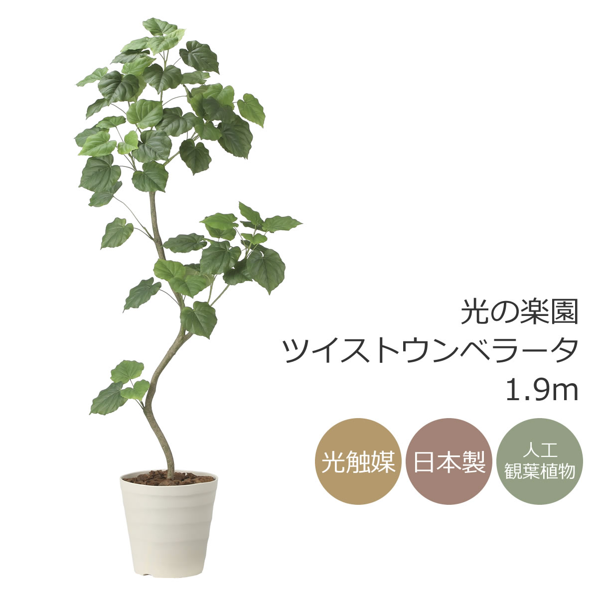 光触媒　人工観葉植物　フェイクグリーン　ツイストウンベラータ1.9（組立式） 人工 観葉植物 フェイク グリーン ツイストウンベラータ H約160cm 店舗