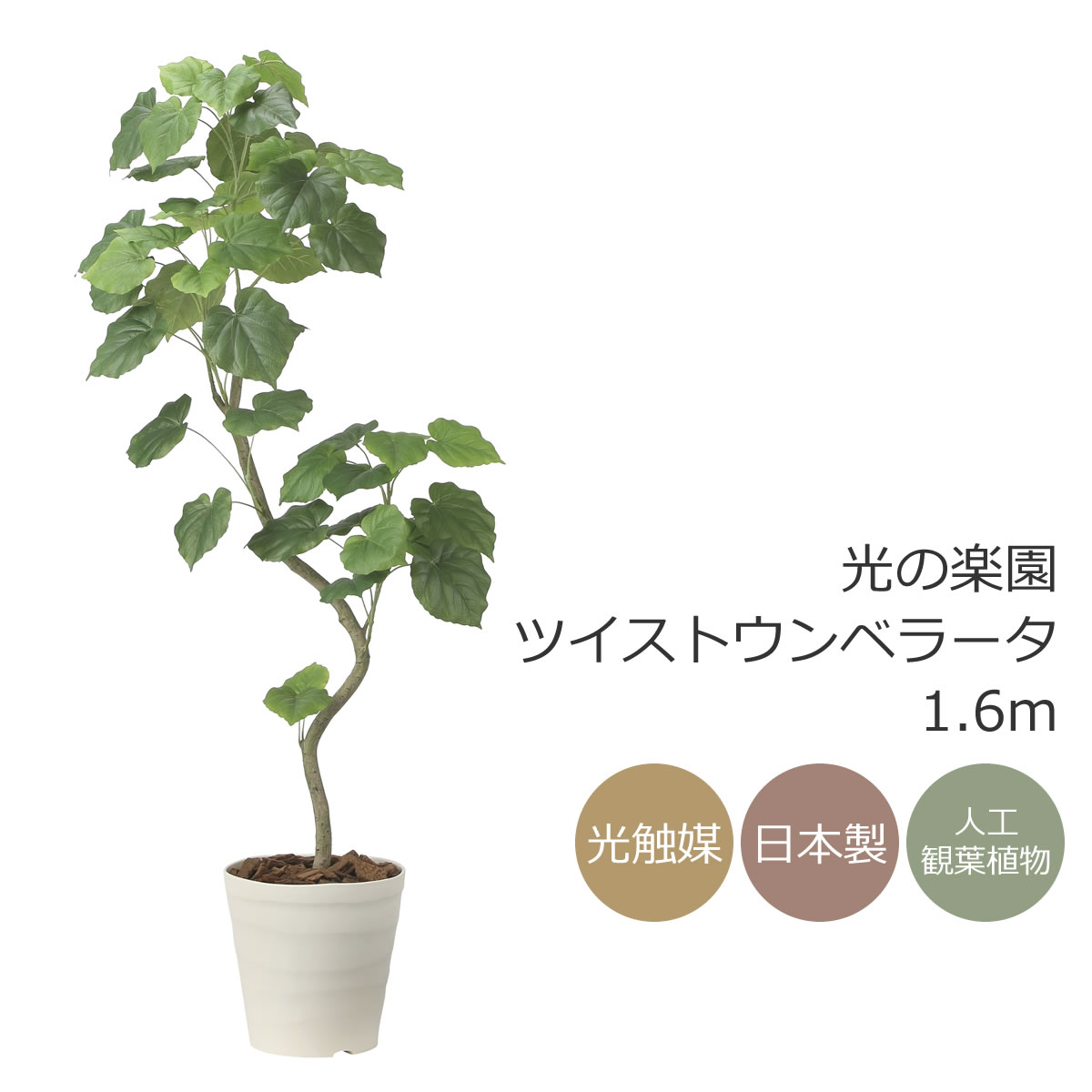 楽天市場】【取寄品】 フェイクグリーン 光触媒 ウンベラーター