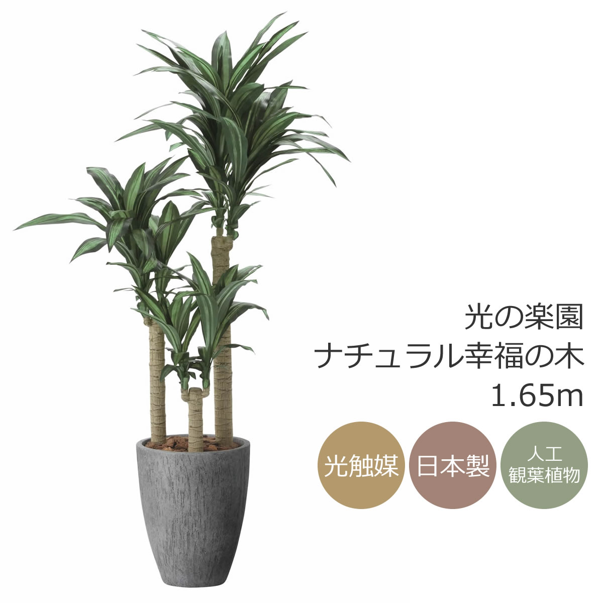 楽天市場】光触媒 光の楽園 スリムフィカストライアングル1.6m