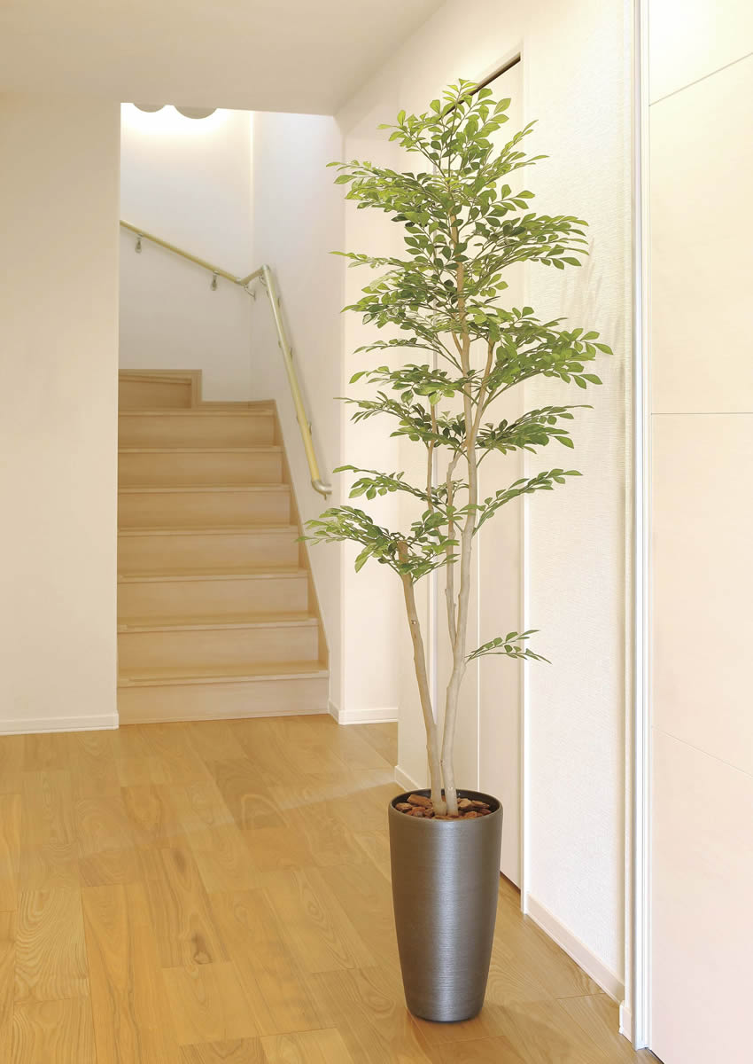 光触媒　人工観葉植物　フェイクグリーン　スリムフィカストライアングル 楽天市場】光触媒 光の楽園 スリムフィカストライアングル1.6m