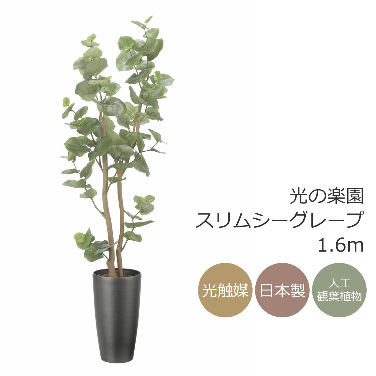 光触媒　人工観葉植物　フェイクグリーン　インテリアフレッシュアセビ 楽天市場】光触媒 光の楽園 インテリアフレッシュアセビ1.7m